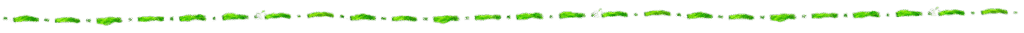 Photograph of green stitches made with a thread and needle.